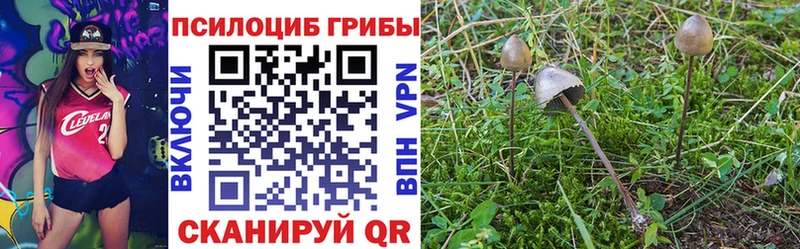 Псилоцибиновые грибы ЛСД  Разумное 
